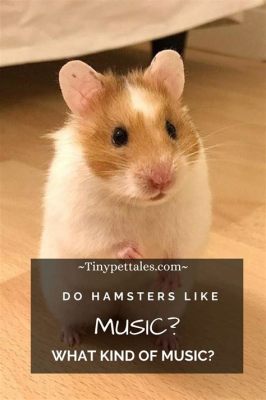 Do Hamsters Like Music? A Look into the Enigmatic World of Hamster Preferences