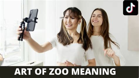 what is art of zoo